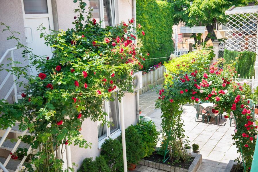 Hotel Relax Varna Bagian luar foto